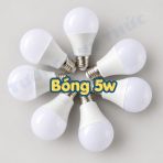 bóng trứng 5w