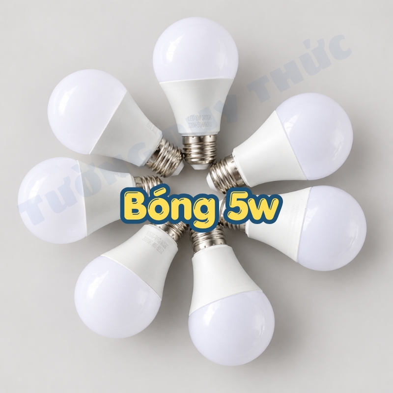 bóng trứng 5w