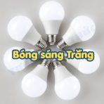 bóng trứng màu sáng