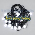 bóng trứng sáng trắng