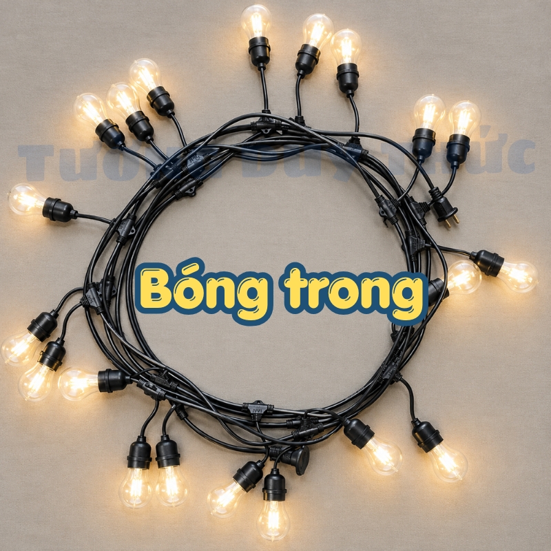 dây đèn kèm bóng trong