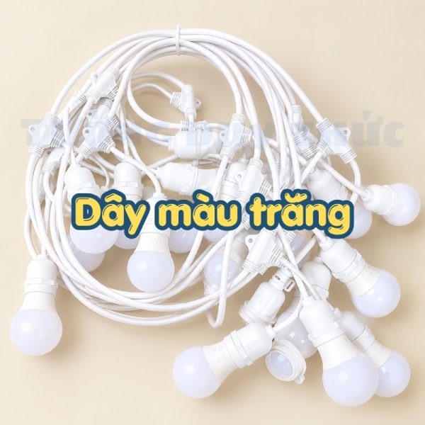 dây đèn trang trí ngoài trời màu trắng
